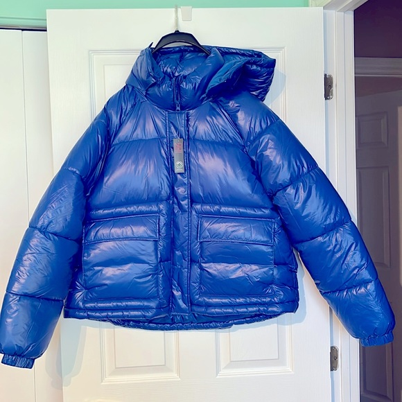 No Boundaries Jackets & Blazers - NWT XL Women’s NO BO No Boundaries shiny blue XL winter fall coat jacket hooded